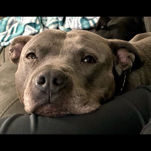 Meet your Posher, Ginny